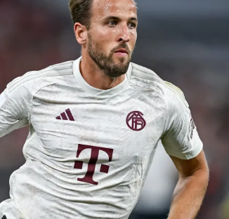 示自己的实 示自己的实