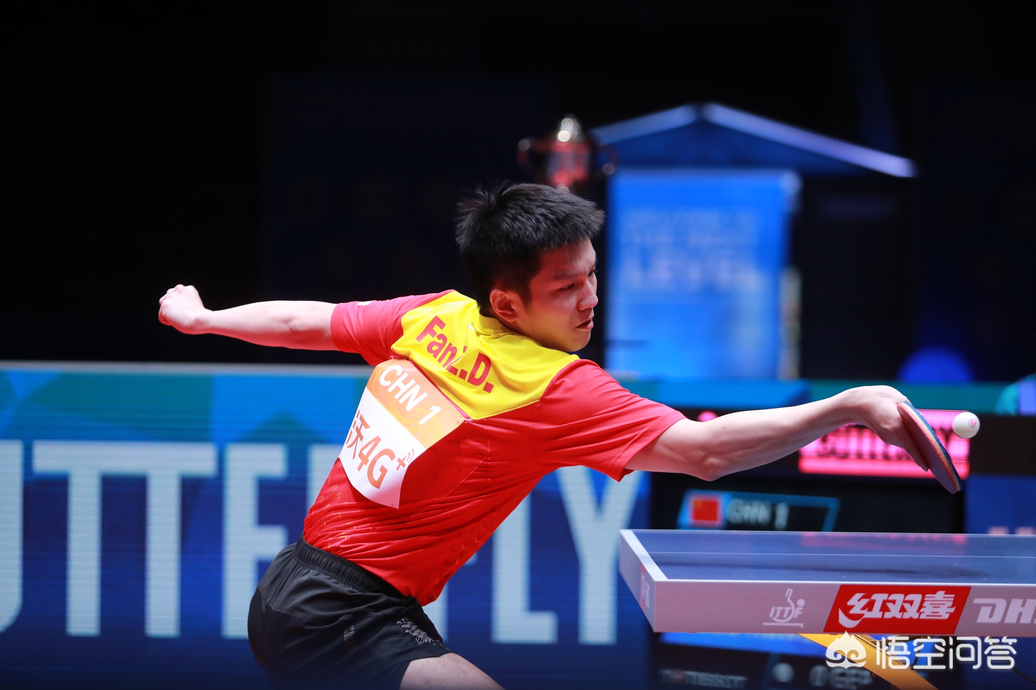 坚持不懈的 坚持不懈的