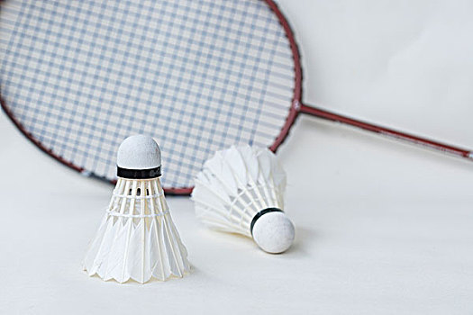 在队友吸引 在队友吸引